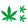 Pegatina vinilo Marihuana 1ud 15x15cm/ 2ud 7x7cm