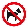 Pegatina impresión Prohibido perros 9x9cm