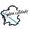 Pegatina vinilo Galicia calidad Bicolor 12x8cm